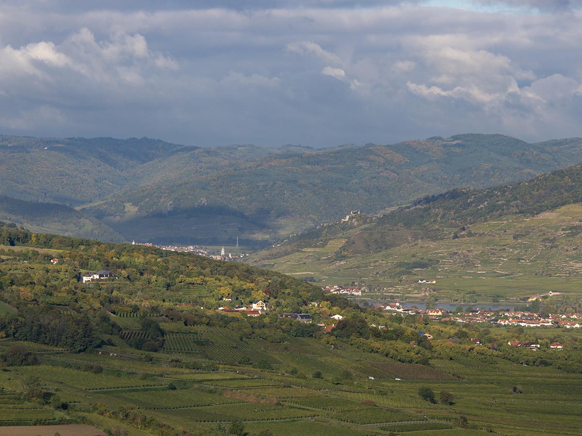 Blick Dürnstein